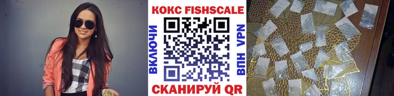 Cocaine Fish Scale даркнет сайт Костерёво