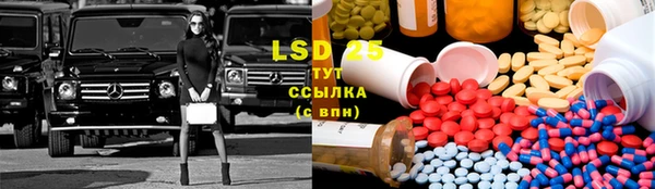 дживик Богородицк