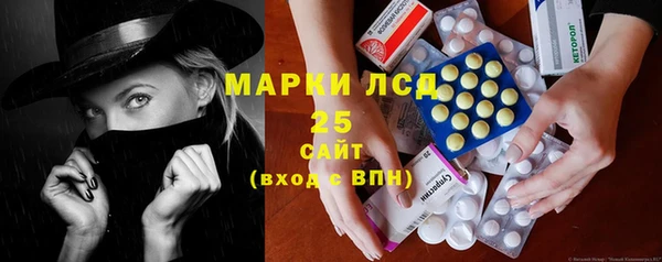 дживик Богородицк