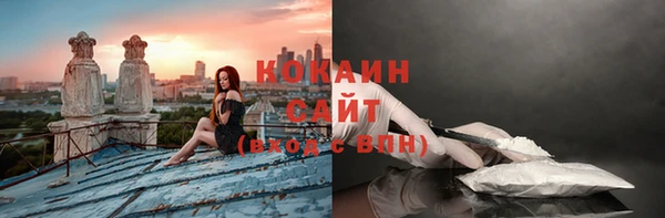 тгк Богданович