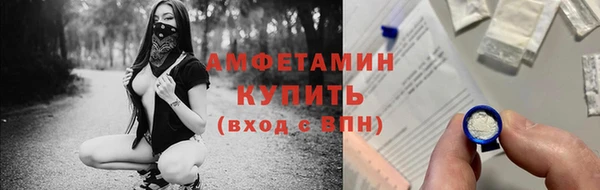 дживик Богородицк