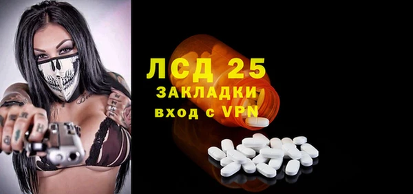 дживик Богородицк