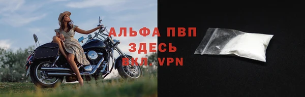 тгк Богданович
