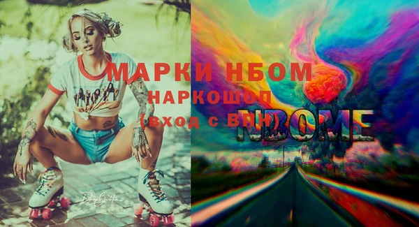 дживик Богородицк
