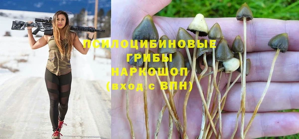 тгк Богданович
